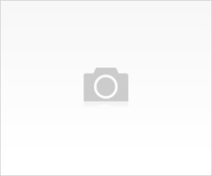 Doktor Web Ofis