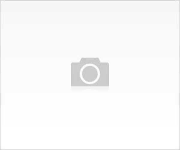 Doktor Web Ofis
